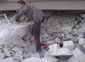 SYRIA_WEB_20121018_0001