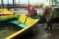 HURRICANE SANDY_WEB_20121025_0005