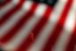 ROMNEY_WEB_20121105_0002