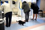 VOTE_5413_20121106