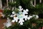 NEWTOWN_7128_20121217