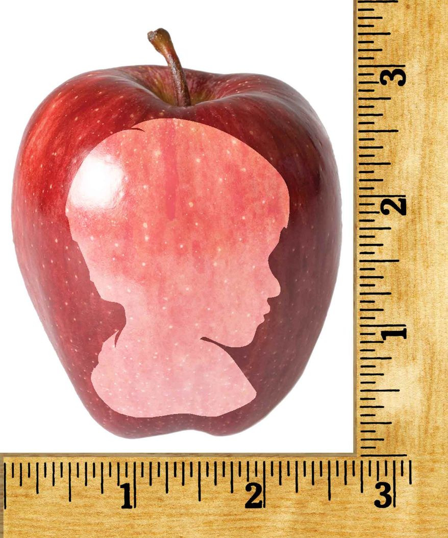 Illustration Measuring Schools by Greg Groesch for The Washington Times
