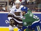 ahl-whale-bears-hocke_petr1_mugshot_four_by_three.jpg
