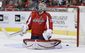 Maple Leafs Capitals _Lanc(3).jpg