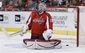 Maple Leafs Capitals _Petr(2).jpg
