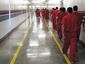 immigrants-released_live_mugshot_four_by_three.jpg