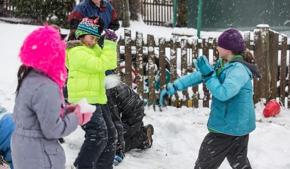 The Sweeney and Powers families engage in a snowball fight in Fairfax, Va., on March 6, 2013. (Andrew S. Geraci/The Washington Times)