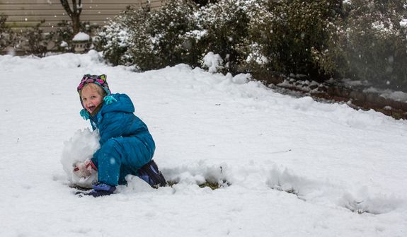 Reily Sweeney, 5, pushes a snowball through the snow in an effort to make a snowman in a neighborhood in Fairfax, Va., on March 6, 2013. (Andrew S. Geraci/The Washington Times)