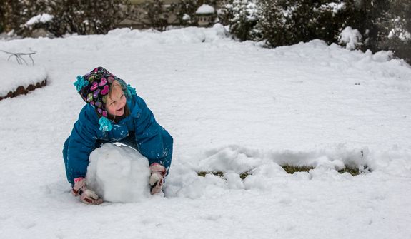 Reily Sweeney, 5, pushes a snowball through the snow while making a snowman in a neighborhood in Fairfax, Va., on March 6, 2013. (Andrew S. Geraci/The Washington Times)