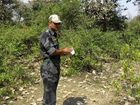 india-tourist-gang-ra_lea_mugshot_four_by_three.jpg