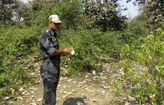 India Tourist Gang Ra_Lea.jpg