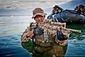 4_142013_seals-20080813-1122.jpg