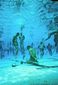 4_142013_seals-20090331-1121.jpg