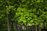 MEMORIAL_13158