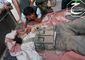 Mideast Syria_Live.jpg
