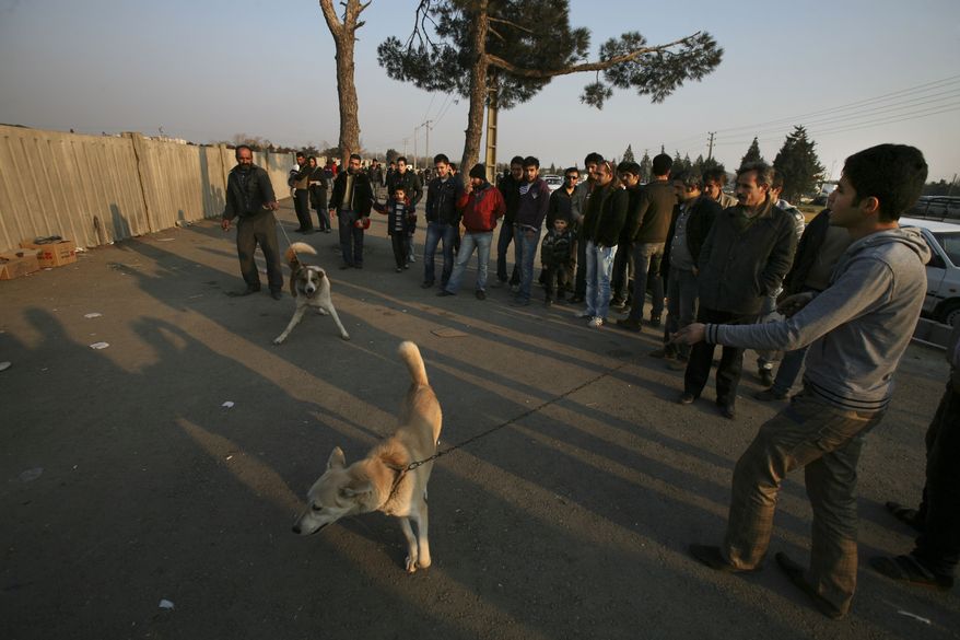 **FILE** Iranian vendors hold their dogs as they wait for customers at an animal vendors' weekly open air market in a suburb of Tehran on Dec. 30, 2011. (Associated Press)
