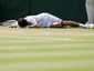 wimbledon5_mugshot_four_by_three.jpg