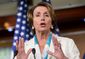 Pelosi July AP.jpg