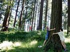 tree-hugging_lea_mugshot_four_by_three.jpg