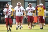 REDSKINS_20130730_011_07301120