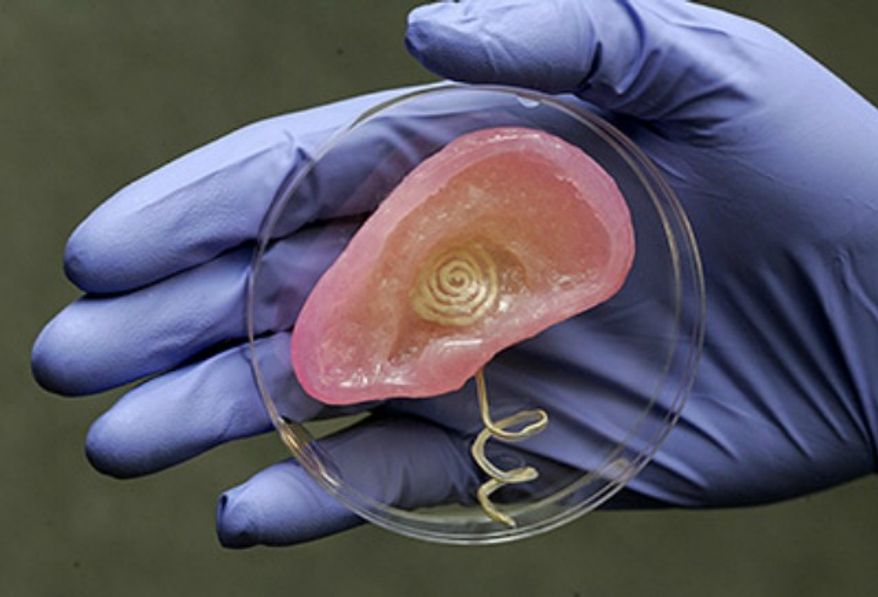 Researchers from Princeton and John Hopkins worked together to create a bionic ear. (Image: Princeton)