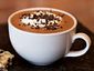cocoa_mugshot_four_by_three.jpg