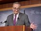 SCHUMER12.jpg