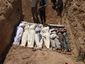 mideast-syria_live_72_mugshot_four_by_three.jpg