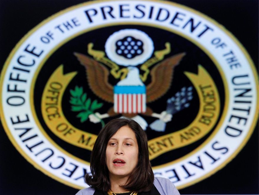 Victoria Espinel, the federal government's first intellectual property enforcement coordinator, will take over as president of the Software Alliance, formerly known as the Business Software Alliance, on September 3. (associated press)