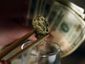 marijuana-taxes_star_2_mugshot_four_by_three.jpg