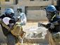 syria18_mugshot_four_by_three.jpg