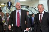 McCAIN19.jpg