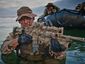 3_seals_11264_mugshot_four_by_three.jpg