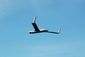 10232013_scaneagle8201.jpg