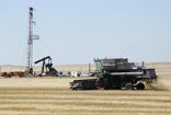 North Dakota Wheat.JPEG-0abf9.jpg