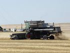 north-dakota-wheatjpeg-0abf9_mugshot_four_by_three.jpg