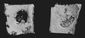 Bone Regeneration.jpg