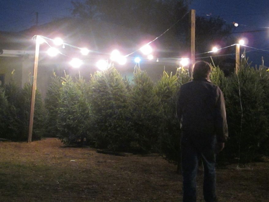**FILE** Fraser fir Christmas trees are offered for sale at a tree lot in Mount Pleasant, S.C., on Nov. 28, 2012. (Associated Press)