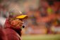 REDSKINS_20131208_022.JPG