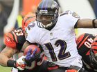 ravens-bengals-footballjpeg-06ffa_mugshot_four_by_three.jpg