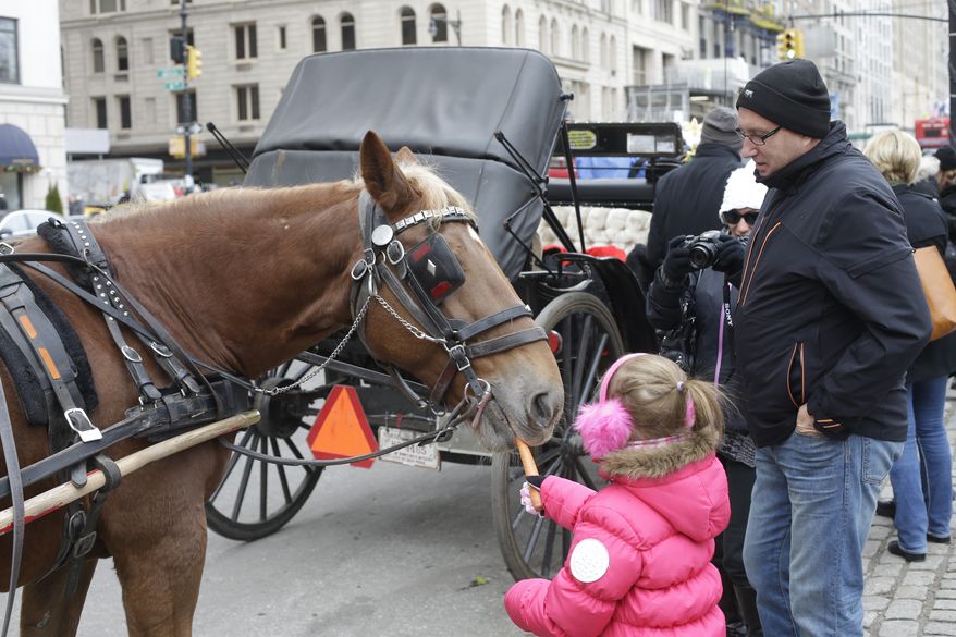 A girl feeds a horse near Central Park on New Year's Eve day, Tuesday, Dec. 31, 2013, in New York. Mayor-elect Bill de Blasio, who will be sworn in tonight, supports ending the practice of horse-drawn carriages. (AP Photo/Frank Franklin II)