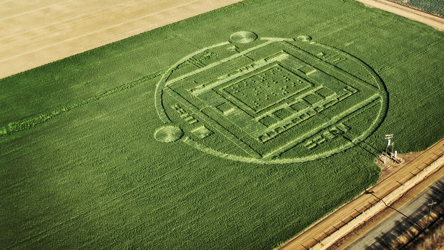 This photo provided by NVIDIA shows a 310-foot “crop circle” in a California barley field that mystified locals this week was explained Sunday Jan. 6, 2014: it was a publicity stunt by Nvidia Corp., a maker of chips for PCs and smartphones. The crop circle near Chualar, Calif., contained a stylized image of a computer chip and the number “192” in Braille. On Sunday, the company announced the Tegra K1, a new chip for tablets and smartphones that contains 192 computing “cores,” or mini-computers, for graphics applications. (AP Photo/NVIDIA)