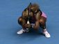 australian-open-tennisjpeg-0146d_mugshot_four_by_three.jpg