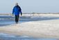 Winter Weather Florida.JPEG-054c3.jpg