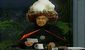 Johnny Carson.jpg