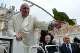 Vatican Pope Birds.JPEG-016aa.jpg