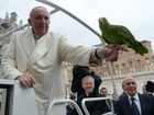 vatican-pope-birdsjpeg-016aa_mugshot_four_by_three.jpg