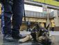 super-bowl-transit-checkpoint-footballjpeg-0db72_mugshot_four_by_three.jpg