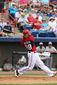 Nats_20mar2014_0379_GN.JPG