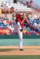 Nats_20mar2014_1120_GN.JPG
